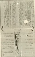 An illustration from Gli atti e monumenti de' fratelli Arvali : scolpiti già in tavole di marmo ed ora raccolti diciferati e comentati (1795)