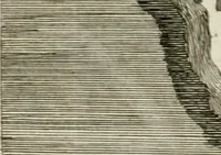 An illustration from Gli atti e monumenti de' fratelli Arvali : scolpiti già in tavole di marmo ed ora raccolti diciferati e comentati (1795)