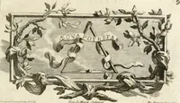 An illustration from Gli eccelsi pregj delle belle arti e la scambievole lor congiunzione con le mattematiche scienze : mostrata nel Campidoglio dall'Accademia del disegno in occasione del concorso celebrato dalla medesima nell'anno 1732, reggendone il principato il sig. cavalier Sebastiano Conca .. (1733)