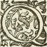 Picture 3 of 29 from Gli encomii delle Sagre Corone esplicati dal sig. Gio. Andrea Rota con diuersi componim.ti per la coronatione di Nostra Signora del Soccorso, seguita in Bologna l'anno MDCXIII per mano del card. Maffeo Barberino (1633), leaf 10