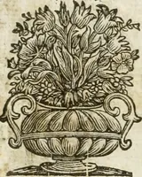 Picture 5 of 29 from Gli encomii delle Sagre Corone esplicati dal sig. Gio. Andrea Rota con diuersi componim.ti per la coronatione di Nostra Signora del Soccorso, seguita in Bologna l'anno MDCXIII per mano del card. Maffeo Barberino (1633), leaf 14