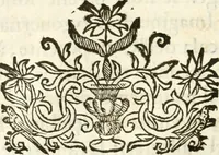 Picture 13 of 29 from Gli encomii delle Sagre Corone esplicati dal sig. Gio. Andrea Rota con diuersi componim.ti per la coronatione di Nostra Signora del Soccorso, seguita in Bologna l'anno MDCXIII per mano del card. Maffeo Barberino (1633), leaf 55