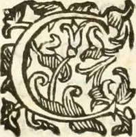 An illustration from Gli encomii delle Sagre Corone esplicati dal sig. Gio. Andrea Rota con diuersi componim.ti per la coronatione di Nostra Signora del Soccorso, seguita in Bologna l'anno MDCXIII per mano del card. Maffeo Barberino (1633)
