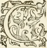 Picture 2 of 29 from Gli encomii delle Sagre Corone esplicati dal sig. Gio. Andrea Rota con diuersi componim.ti per la coronatione di Nostra Signora del Soccorso, seguita in Bologna l'anno MDCXIII per mano del card. Maffeo Barberino (1633), leaf 9