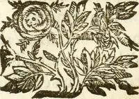 An illustration from Gli encomii delle Sagre Corone esplicati dal sig. Gio. Andrea Rota con diuersi componim.ti per la coronatione di Nostra Signora del Soccorso, seguita in Bologna l'anno MDCXIII per mano del card. Maffeo Barberino (1633)