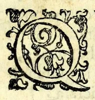 An illustration from Gli incantesimi : comedia (1585)