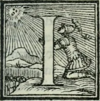 An illustration from Gl'inganni comedia (1562)