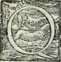 An illustration from Gl'inganni comedia (1562)