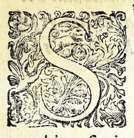 An illustration from Glorie di gverrieri e d'amanti in nvova impresa nella città di Taranto succedute (1596)