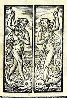 Picture 34 of 35 from Glorie di gverrieri e d'amanti in nvova impresa nella città di Taranto succedute (1596), leaf 363