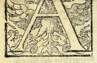 An illustration from Glorie di gverrieri e d'amanti in nvova impresa nella città di Taranto succedute (1596)