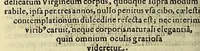 An illustration from Gloriosus Franciscus rediuiuus : siue chronica observantiæ strictioris, reparatæ, reductæ, ac reformatæ; eiusdemque per Christianos orbes, non solùm, sed & Americam, Peru, Chinas, Iapones, Chichemecas, Zatachecas; Indos Orientis, & occidui solis, Turcas, & barbaras gentes, diffusæ, & euangelio fructificantis. Distincta VI. libris, & 28. figuris æneis ornata (1625)