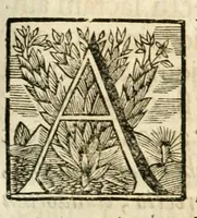 Picture 36 of 84 from Gloriosus Sanctus Romedius : ex comitibus de Thaur Andek, & Altae Guardiae dominis, vallis Annaniae in Tyroli apostolus, magnus thaumaturgus, & anachoreta, quem similem fecit Dominus in gloria sanctorum, & beatificavit illum in gloria (Eccli. 45) : nec non gloriosa domus comitum de Thun, illo Aggaei prophetae condecorata vaticinio, magna erit gloria domus istius (Cap. 2) (1699), leaf 137