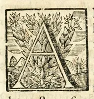 Picture 46 of 84 from Gloriosus Sanctus Romedius : ex comitibus de Thaur Andek, & Altae Guardiae dominis, vallis Annaniae in Tyroli apostolus, magnus thaumaturgus, & anachoreta, quem similem fecit Dominus in gloria sanctorum, & beatificavit illum in gloria (Eccli. 45) : nec non gloriosa domus comitum de Thun, illo Aggaei prophetae condecorata vaticinio, magna erit gloria domus istius (Cap. 2) (1699), leaf 168