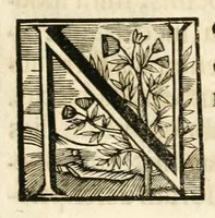 An illustration from Gloriosus Sanctus Romedius : ex comitibus de Thaur Andek, & Altae Guardiae dominis, vallis Annaniae in Tyroli apostolus, magnus thaumaturgus, & anachoreta, quem similem fecit Dominus in gloria sanctorum, & beatificavit illum in gloria (Eccli. 45) : nec non gloriosa domus comitum de Thun, illo Aggaei prophetae condecorata vaticinio, magna erit gloria domus istius (Cap. 2) (1699)