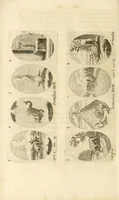 Picture 76 of 84 from Gloriosus Sanctus Romedius : ex comitibus de Thaur Andek, & Altae Guardiae dominis, vallis Annaniae in Tyroli apostolus, magnus thaumaturgus, & anachoreta, quem similem fecit Dominus in gloria sanctorum, & beatificavit illum in gloria (Eccli. 45) : nec non gloriosa domus comitum de Thun, illo Aggaei prophetae condecorata vaticinio, magna erit gloria domus istius (Cap. 2) (1699), leaf 282