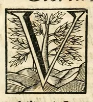 An illustration from Gloriosus Sanctus Romedius : ex comitibus de Thaur Andek, & Altae Guardiae dominis, vallis Annaniae in Tyroli apostolus, magnus thaumaturgus, & anachoreta, quem similem fecit Dominus in gloria sanctorum, & beatificavit illum in gloria (Eccli. 45) : nec non gloriosa domus comitum de Thun, illo Aggaei prophetae condecorata vaticinio, magna erit gloria domus istius (Cap. 2) (1699)