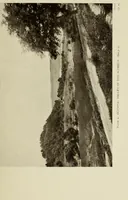 An illustration from The glory that was Greece : a survey of Hellenic culture and civilization (1915)