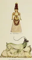 Picture 13 of 120 from The glory that was Greece : a survey of Hellenic culture and civilization (1915), leaf 64