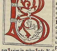 An illustration from [Glossae ex illustrissimis auctoribus collectae]