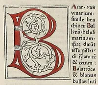 An illustration from [Glossae ex illustrissimis auctoribus collectae]