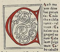 An illustration from [Glossae ex illustrissimis auctoribus collectae]