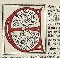 An illustration from [Glossae ex illustrissimis auctoribus collectae]