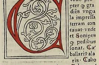 An illustration from [Glossae ex illustrissimis auctoribus collectae]