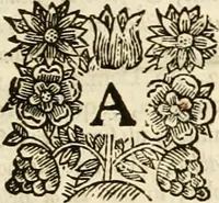 An illustration from Glossarium archiaologicum [sic] : continens latino-barbara, peregrina, obsoleta, & novatae significationis vocabula ... (1687)