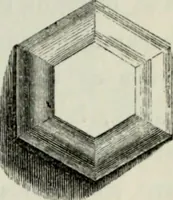 An illustration from A glossary of terms used in Grecian, Roman, Italian, and Gothic architecture (1845)