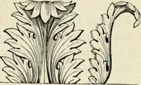 An illustration from A glossary of terms used in Grecian, Roman, Italian, and Gothic architecture (1845)