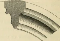 Picture 158 of 222 from A glossary of terms used in Grecian, Roman, Italian, and Gothic architecture (1845), leaf 325