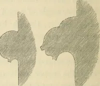 Picture 161 of 222 from A glossary of terms used in Grecian, Roman, Italian, and Gothic architecture (1845), leaf 327