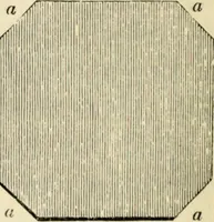An illustration from A glossary of terms used in Grecian, Roman, Italian, and Gothic architecture (1845)