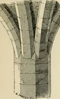 An illustration from A glossary of terms used in Grecian, Roman, Italian, and Gothic architecture (1845)