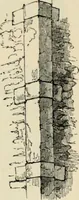 An illustration from A glossary of terms used in Grecian, Roman, Italian, and Gothic architecture (1845)