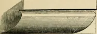 An illustration from A glossary of terms used in Grecian, Roman, Italian, and Gothic architecture (1845)