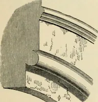 An illustration from A glossary of terms used in Grecian, Roman, Italian, and Gothic architecture (1845)