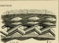 An illustration from A glossary of terms used in Grecian, Roman, Italian, and Gothic architecture (1845)