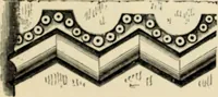 An illustration from A glossary of terms used in Grecian, Roman, Italian, and Gothic architecture (1845)