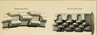 An illustration from A glossary of terms used in Grecian, Roman, Italian, and Gothic architecture (1845)