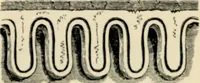 An illustration from A glossary of terms used in Grecian, Roman, Italian, and Gothic architecture (1845)