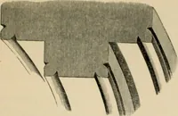 An illustration from A glossary of terms used in Grecian, Roman, Italian, and Gothic architecture (1845)