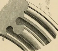 An illustration from A glossary of terms used in Grecian, Roman, Italian, and Gothic architecture (1845)
