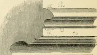 An illustration from A glossary of terms used in Grecian, Roman, Italian, and Gothic architecture (1845)