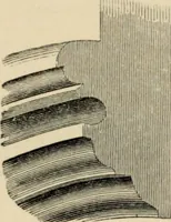 An illustration from A glossary of terms used in Grecian, Roman, Italian, and Gothic architecture (1845)