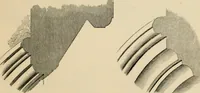 An illustration from A glossary of terms used in Grecian, Roman, Italian, and Gothic architecture (1845)