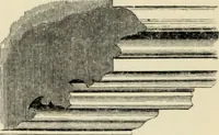 An illustration from A glossary of terms used in Grecian, Roman, Italian, and Gothic architecture (1845)
