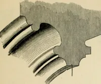 An illustration from A glossary of terms used in Grecian, Roman, Italian, and Gothic architecture (1845)