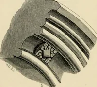 An illustration from A glossary of terms used in Grecian, Roman, Italian, and Gothic architecture (1845)